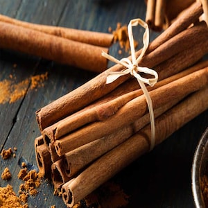 Cinnamon Bark Essential Oil CO2- India - Cinnamomum burmannii