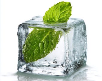 Ätherisches Minzöl (Parfümzutat)