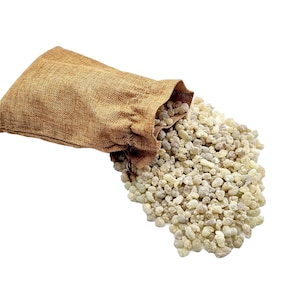 Oman Green Hojari - Sacred Frankincense Tears Resins - Boswellia Sacra