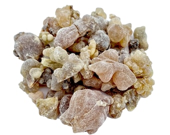 Royal Oman Hojari - Heilige Weihrauchtränen Harze - Boswellia Sacra