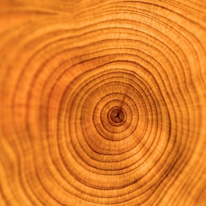 Santal King - Rare Srilankan Sandalwood Heartwood Oil from 60 year old trees- Artisanal Distilled