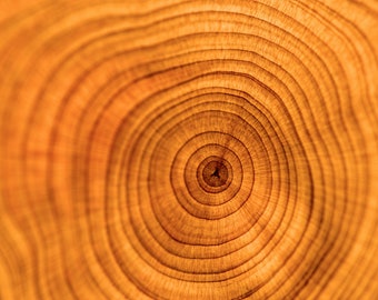 Santal King - Rare Srilankan Sandalwood Heartwood Oil from 60 year old trees- Artisanal Distilled