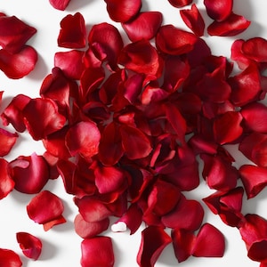 Peut inclure: Une collection de pétales de roses rouges vifs dispersés sur une surface blanche. Les pétales, de tailles et de formes variées, présentent une teinte rouge riche et profonde. L'image est un gros plan, soulignant la texture et la couleur des pétales.