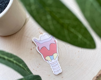Colorful retro larynx Speech Language Pathology Waterproof Sticker