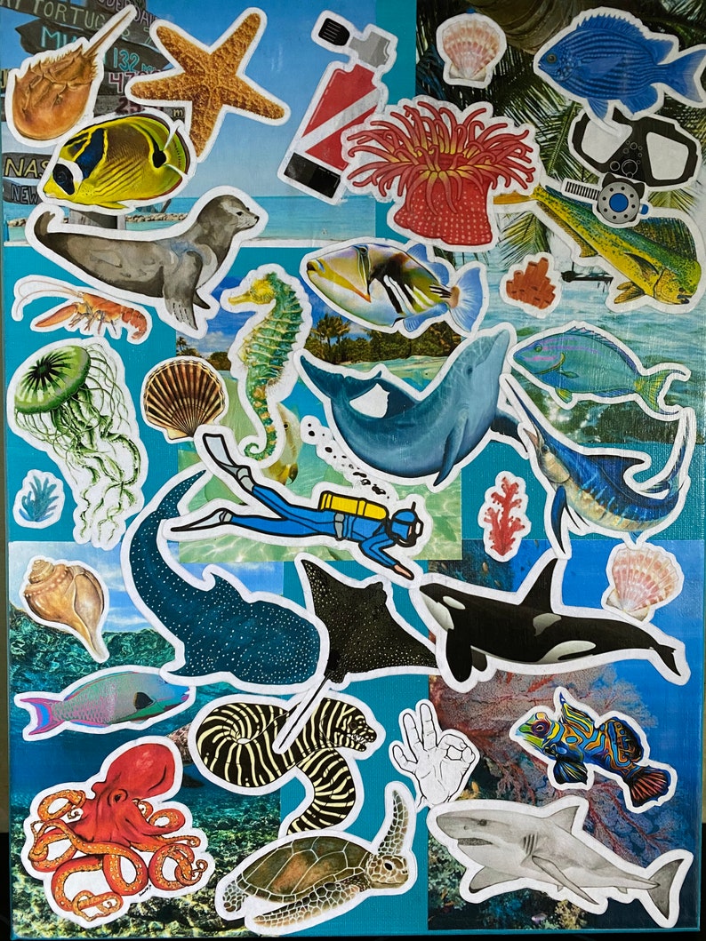 Colorful underwater sea life collage Etsy
