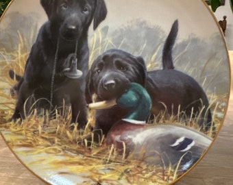 Franklin mint beginners luck Labrador plate