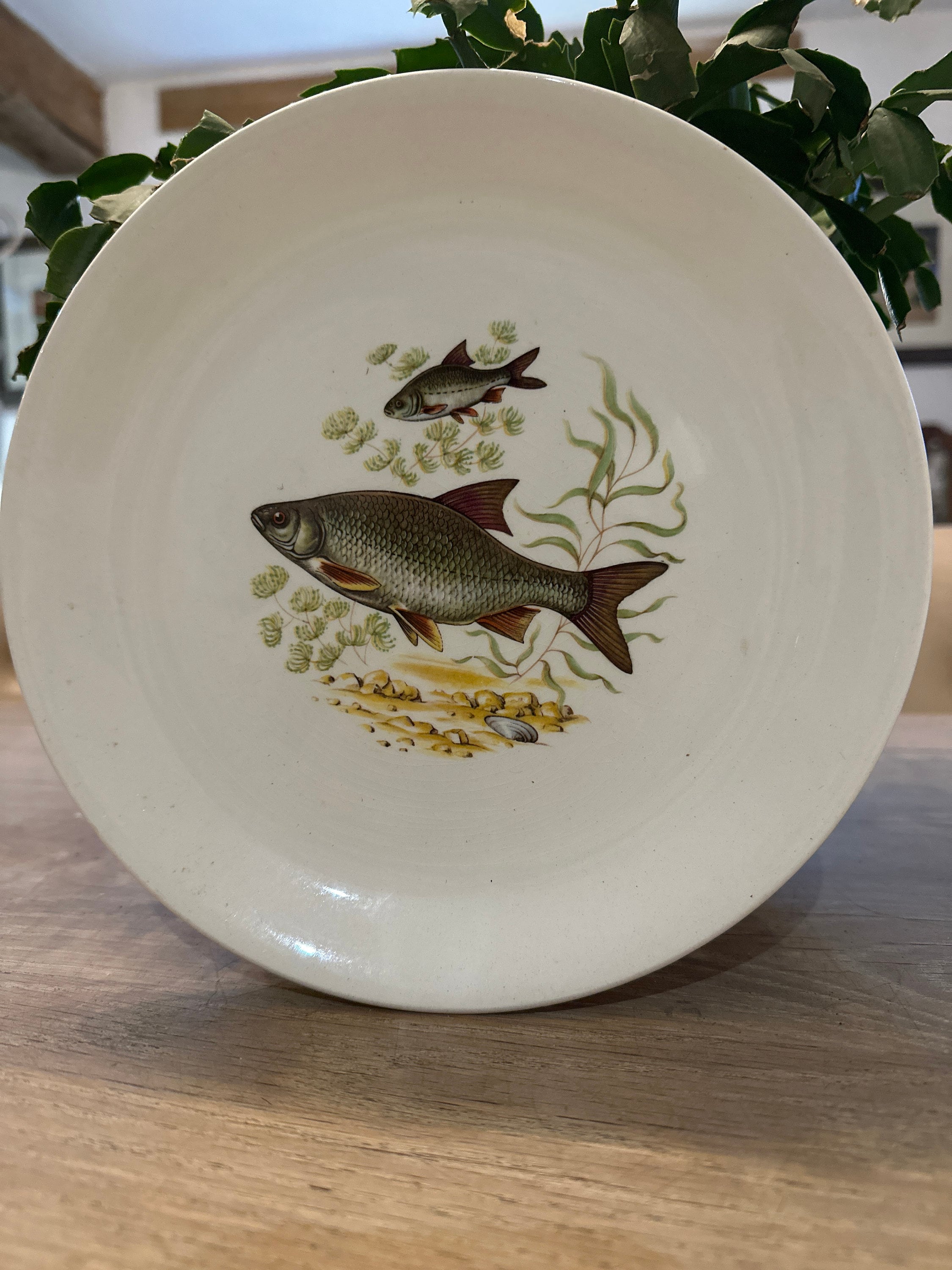 Crown devon pottery - Etsy 日本