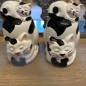 Kitch Katze und Kätzchen Salz und Pfeffer Töpfe