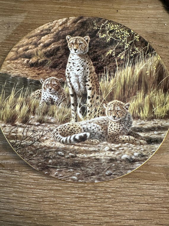 The Kalahari Cheetah Big Cat Plate Made by Wedgewood in the Uk - Etsy
