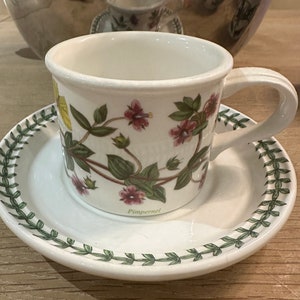 Portmerion Botanischer Garten Vintage Tasse und Untertasse