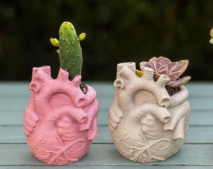 Anatomical Heart Concrete Planter: Gothic Succulent Home Decor