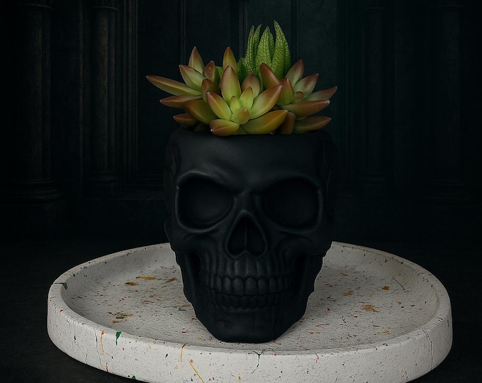 Boho Goth Skull Planter: Faux Succulents & Speckled Concrete Tray
