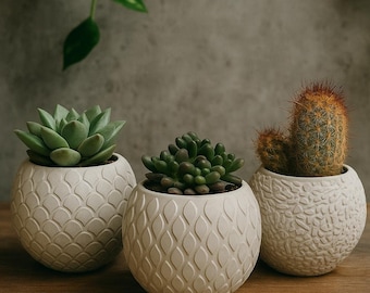 Textured Cement Mini Planter Set: Modern Boho Succulent Pots