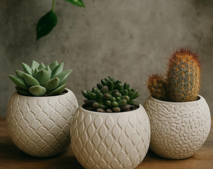 Textured Cement Mini Planter Set: Modern Boho Succulent Pots