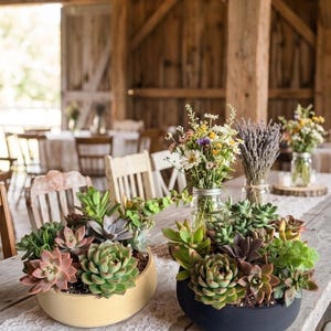 May include: Two succulent arrangements in yellow and black bowls sit on a wooden table. The succulents are various shades of green, red, and purple. Jars of flowers and lavender are also on the table, with a rustic barn backdrop.