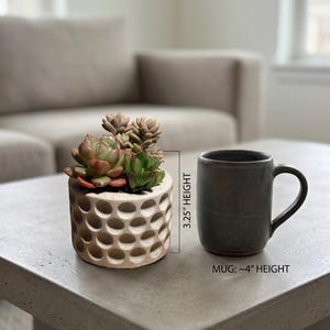 May include: A small, beige ceramic planter with a honeycomb design, holding several succulents with green and reddish-brown leaves. Next to it is a dark gray mug, approximately 4 inches in height, on a concrete table.