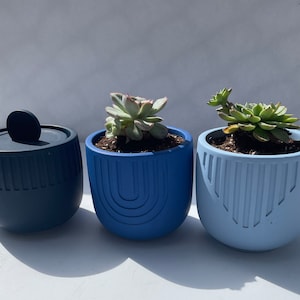 May include: Three different sized planters, one dark blue, one light blue, and one medium blue, each with a different succulent plant inside.