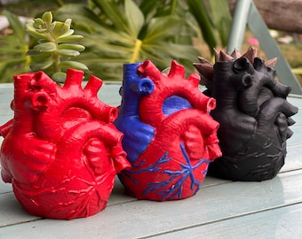 Concrete Human Anatomical Heart Shape Planter