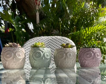 Mini Owl Planter with random succulent