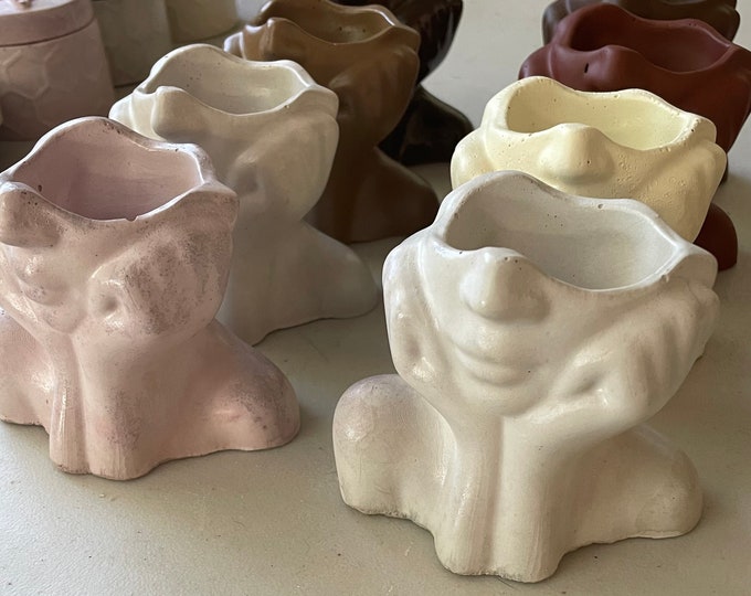 Abstract Face Flower Pot