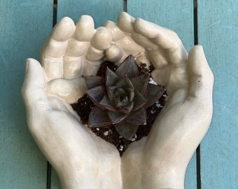 Concrete Hand Planter with succulent plant / Hand Statue