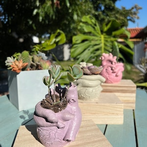 Concrete Human Anatomical Heart Shape Planter