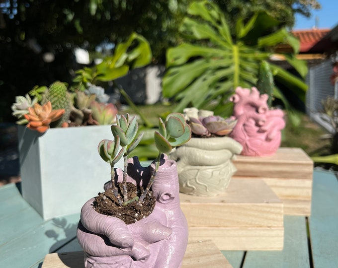 Concrete Human Anatomical Heart Shape Planter