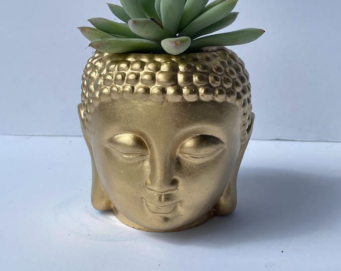 Gold Buddha Head Planter with Succulent | Concrete Indoor Pot | Zen Home Decor