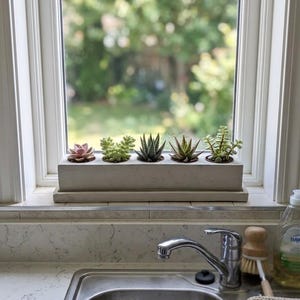 May include: A rectangular concrete planter box filled with five different succulents sits on a windowsill. The succulents display a variety of colors, including pink, green, and dark green. The window frame is white, and the background shows a blurred view of green foliage.