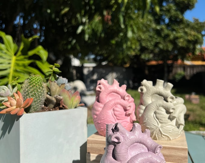 Human Anatomical Heart Shape Planter handmade of Concrete