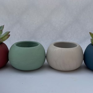 Concrete Planter Pot with Succulent or Cactus in Terracotta colors