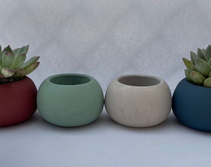 Concrete Planter Pot with Succulent or Cactus in Terracotta colors