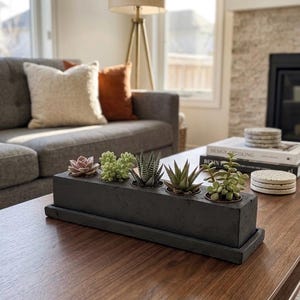 May include: A rectangular, dark gray concrete planter box with four small succulent plants. The planter sits on a wooden coffee table in a living room setting. The succulents are various shades of green and pink.