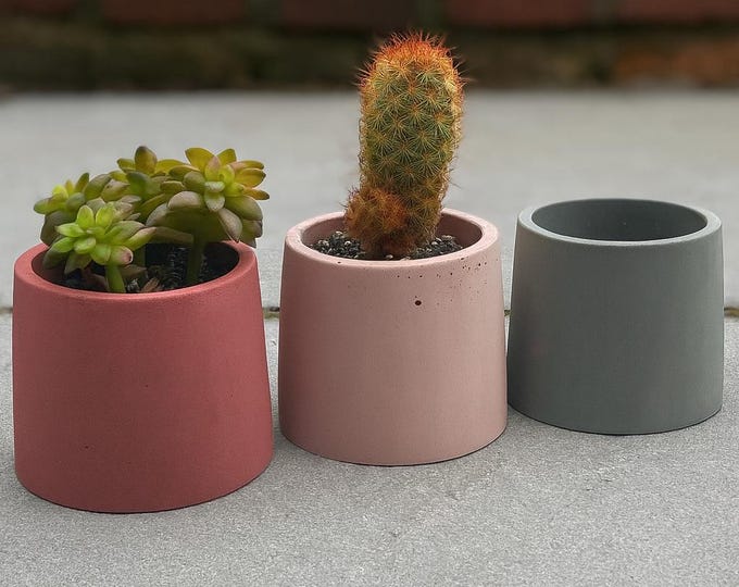 Mini Concrete Planter: Handmade Succulent & Air Plant Holder