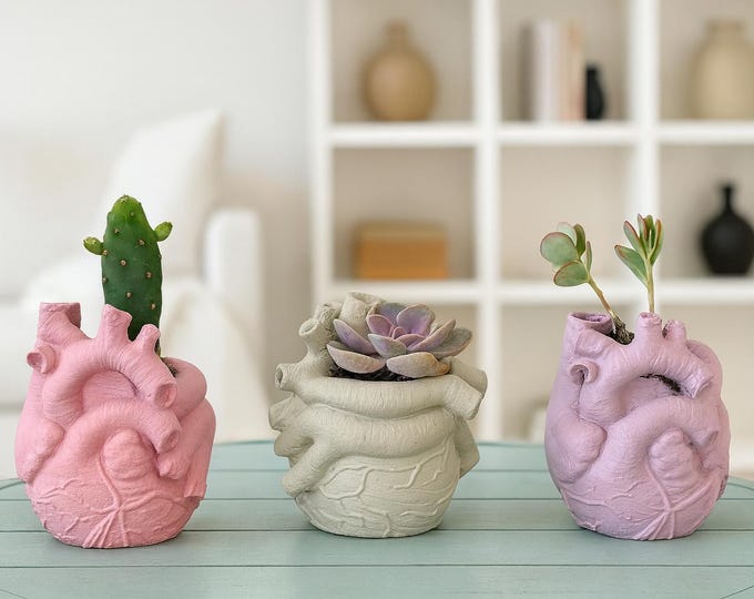 Anatomical Heart Concrete Planter: Gothic Succulent Home Decor