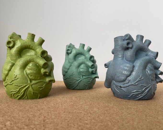 Human Anatomical Heart Shape Planter Handmade from Concrete