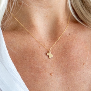 Dainty 14K Gold Texas Necklace, State Necklace, Texas Charm Necklace, Texas Pendant Necklace, Small Texas Necklace, Texas Gift