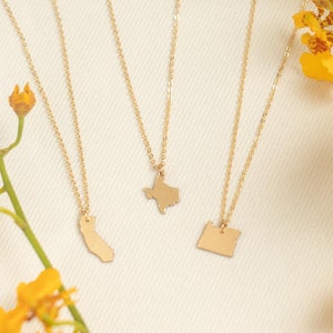 14K Gold Dainty State Necklace, State Charm Pendant Necklace, Graduation Gift,  College Gift, Minimalist State Necklace, Long Distance Gift