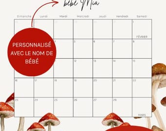 Jeu Baby Shower à imprimer – Calendrier de naissance personnalisé champignon | Fête prénatale (PDF)