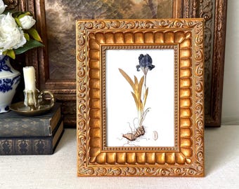 Vintage Ornate 5x7 Gold Gilt Wooden Picture Frame w/ Floral Picture