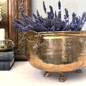 Beautiful Large Oblong Brass Planter w/ Lion Head Handles and Claw Feet