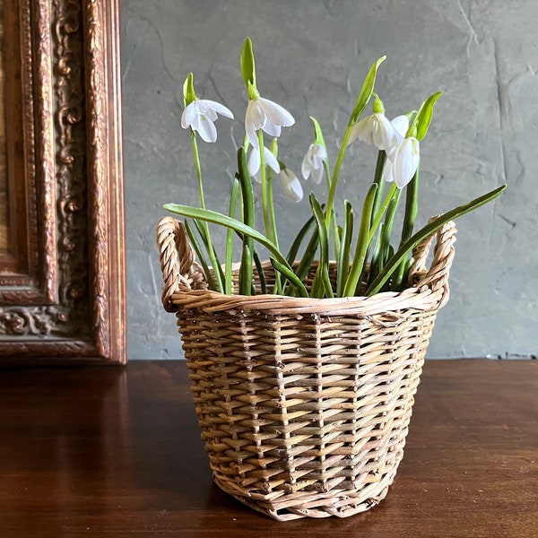 Adorable Small Vintage French Style Wicker Basket w/ Handles - Plant Basket