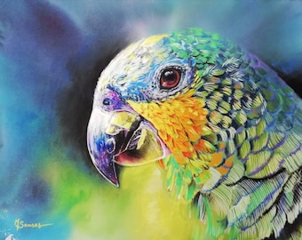 Pastel sec original sur papier 30 x 24 cm, portrait animalier, perroquet, oiseau exotique, non encadré