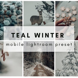 teal WINTER PRESET lightroom mobile preset
