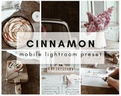 CINNAMON lightroom mobile PRESET