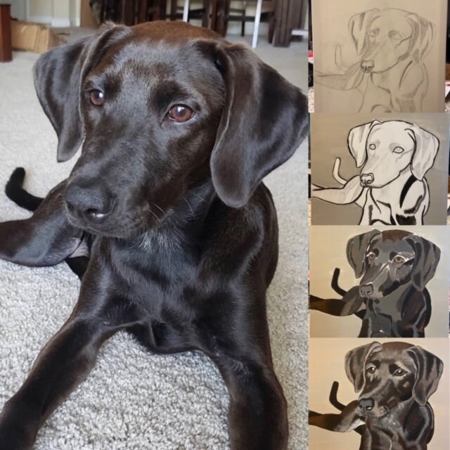 Portrait Style Lab Custom Lab Portraits - Etsy