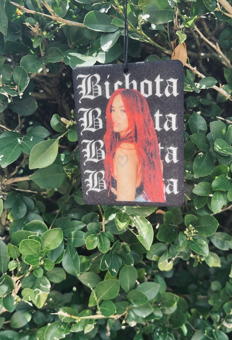 Karol G Air Freshener Karol G Car Air Freshener Bichota Air Etsy