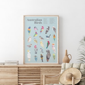 Australian Birds Large A2 Art Poster, Wall Art, Nursery Decoration, Australian wildlife print, Learning poster, baby room decor