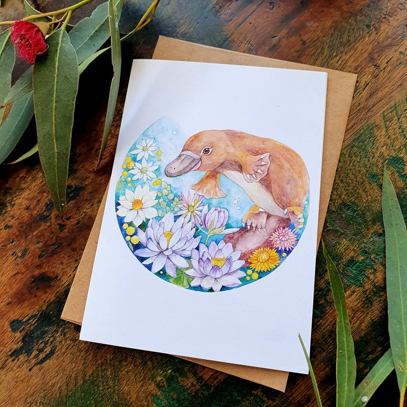 May include: A watercolor illustration of a platypus swimming in a circle of flowers. The platypus is brown and has a long, thin beak. The flowers are white, pink, and yellow.