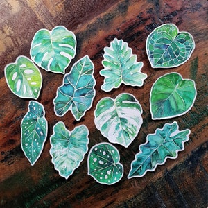 Sticker, indoor plant vinyl sticker from original watercolour painting, laptop decor, monstera sticker, green lover, leaf art